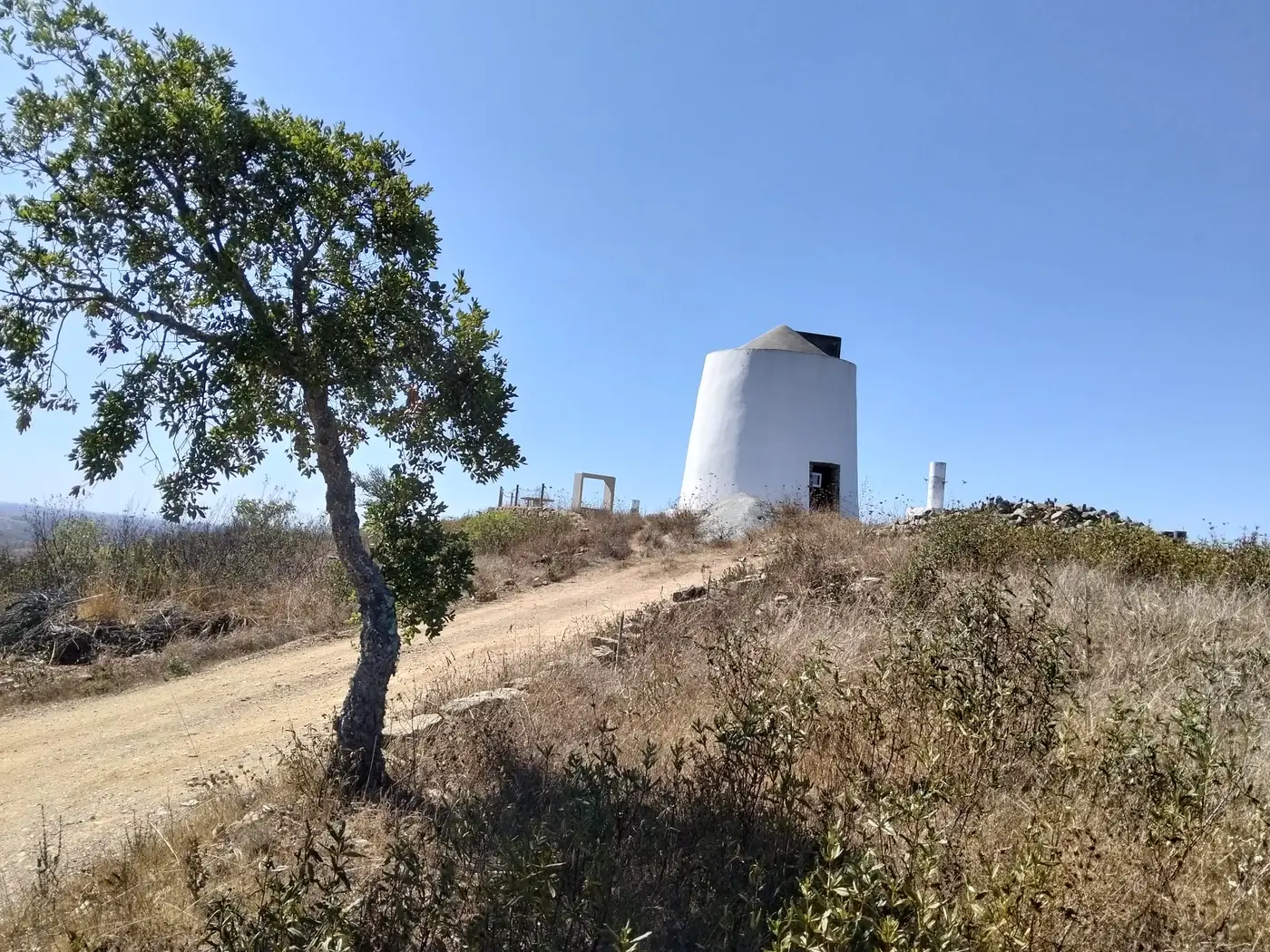 Moinho da Boavista no cume do monte, visto do caminho de terra de acesso, com azinheira em primeiro plano